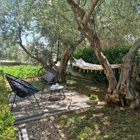 Marina * زادار